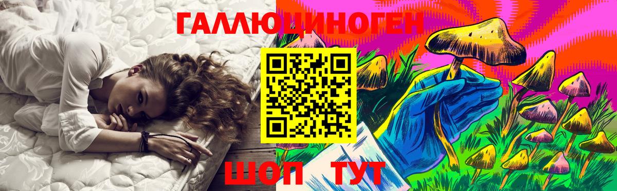 Псилоцибиновые грибы Psilocybe Бугульма
