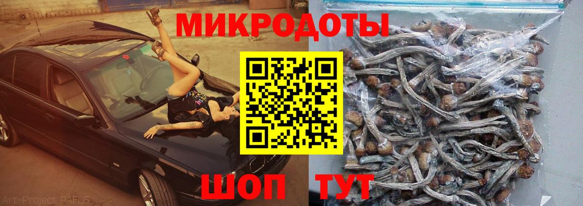Бугульма  Псилоцибиновые грибы мицелий  Вход с VPN 